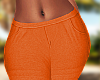 BBW Orange Pant