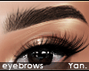 Y: HD brows | powder