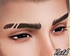 Scarred Eyebrows R