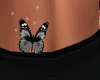 (M) black♥♥butterfly