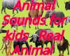 ANIMAL SOUND 4 KIDS