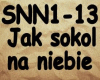 Jak sokol na niebie SNN