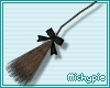 Witchy Broom