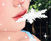 ♡ SnowFlake