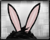 Bunny Easter Ears