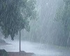 Ambient Rain/Thunder