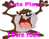 {DS}Taz Let Play