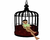 cuddle cage
