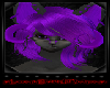 Purple Ace hair V2 [F]
