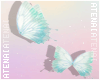 ❄ Holo Flying Buttfly