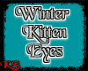 Winter Kitten Eyes