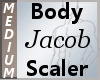 Body Scaler Jacob M