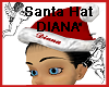 Santa Hat DIANA