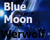 Blue Moom Werwolf