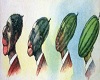 Watermelon Head Evolving