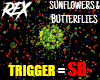 Sunflowers + Butterflies