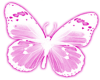 Pink/White Butterfly