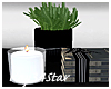 Plant Vase Candle Books