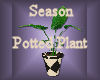 [my]Season Potted Plant