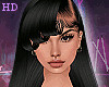 HD. Cassia - Black
