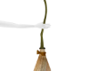 [T]Wren Broom