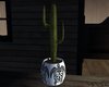 potted cactus