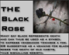 what black roses mean