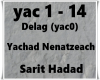 Yachad Nenatzeach