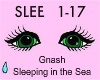Gnash-Sleeping in theSea