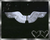 3D Angel Wings
