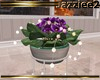 J2 Classic Violet plant