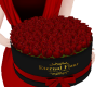 Avi + box  red roses