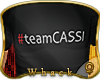 |w| #teamCASSI