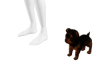 ♥Terrier Puppy Cookie
