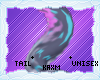 ꨄStacy Tailꨄ