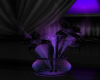 *Lr* Plant purplewhisper