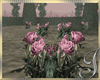 Secret ~ Animated Roses