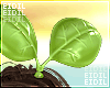 [EID] Deforest Leaves M