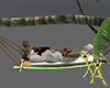X♡A Playful Hammock
