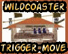 rollercoaster WILD amore