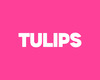 Tulips - Pink