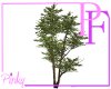 CC Animated Tree v2