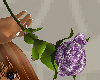 [Tguu]Single purple rose