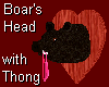 Mounted Boar Head wThong