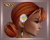 💫Daisy Hair Acc
