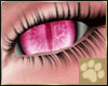 ~AM~ Rosalis Eyes v4