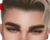 ʝÁ- Brows Blonde