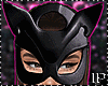 Hero Catwoman Bundle