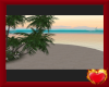Small Private Beach