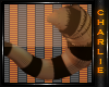 Ch:RigbyTailV2